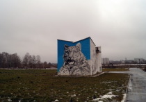 Граффити-изображение ирбиса, которое сейчас создается в Йошкар-Оле, появилось благодаря проекту Русского географического общества