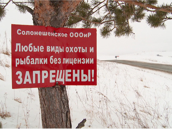 Жители Солонешенского района самостоятельно борются с браконьерами