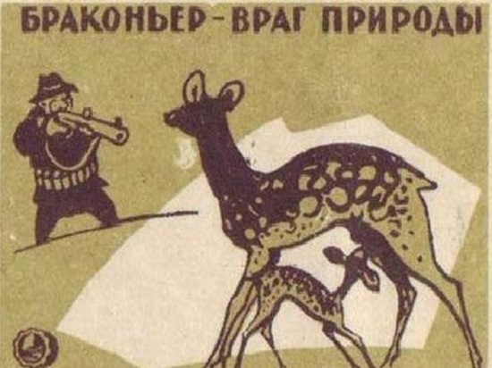 В Ярославской области оштрафованы и отданы под суд 435 браконьеров