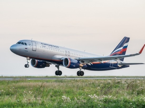 Барнаульский аэропорт уходит под контроль крупного холдинга «Новопорт»