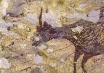 На юге острова Сулавеси в Индонезии австралийские ученые из Университета Гриффита обнаружили изображение, нанесенное на стену пещеры примерно 43 900 лет назад
