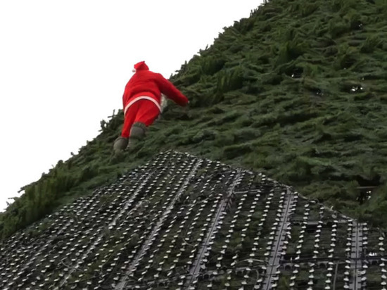 На главную елку Красноярска забрался Санта-Клаус