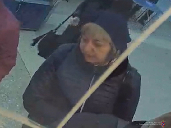 В Волжском разыскивают женщину, укравшую кошелек у пенсионера