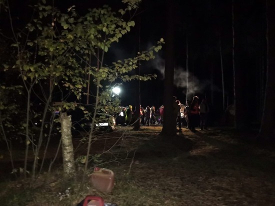 Волонтёры “Лизы Алерт” обучат кемеровчан лесному поиску