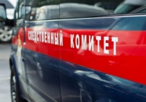 В Томске активно обсуждают еще один резонансный случай с закрытием детского садика в областном центре из-за вспышки кишечной инфекции