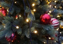 Роскачество посоветовало россиянам избегать покупки новогодних гирлянд с резким химическим запахом, так как они угрожают пожаробезопасности