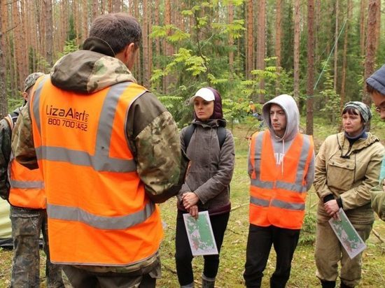  "Лиза Алерт" набирает добровольцев в Кирове