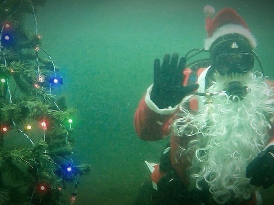 Мурманские дайверы установят новогоднюю ёлку на дне залива