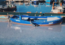 Балаклавскую бухту в Крыму заполонили медузы, их кадры появились в Instagram