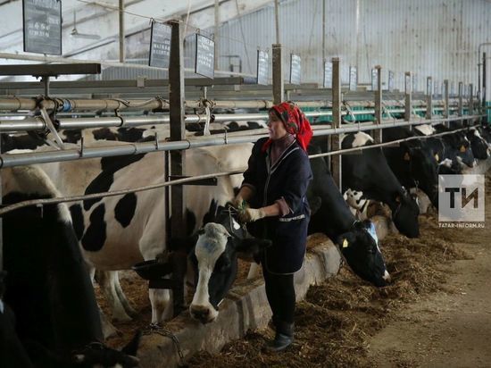 Прибыль сельхозпредприятий Татарстана выросла на 16 процентов