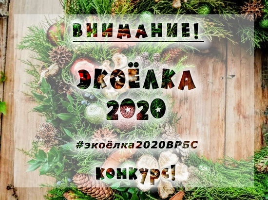 В Волгограде объявлен конкурс на лучшую экологичную елку