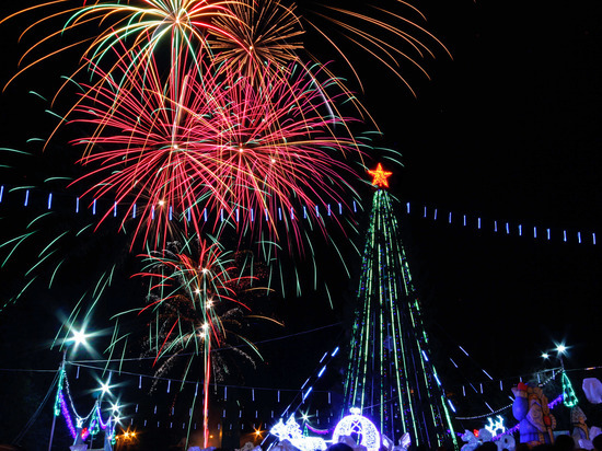 Проверки планируется завершить до 20 декабря