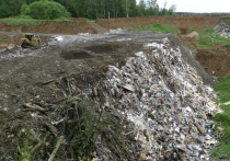 Владимирская, Калужская и Московская области названы регионами, которые до 2029 года примут 58 млн тонн мусора из Москвы