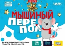 Портал «МК в Чите» продлевает приём заявок на конкурс «Мышиный переполох» на неделю
