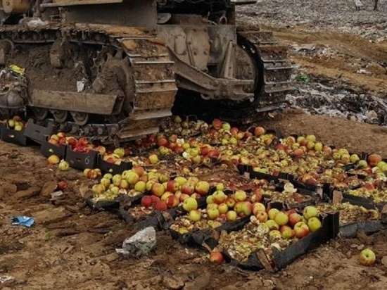 В Тамбовской области уничтожили яблоки из Польши