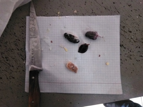 Наркотики в яйцах пытались передать заключенному на Ставрополье