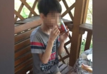 Восьмилетнего мальчика, которого мать вместе с сожителем ставили коленями на гречку в качестве наказания, направят в адаптивную школу-интернат в Омске