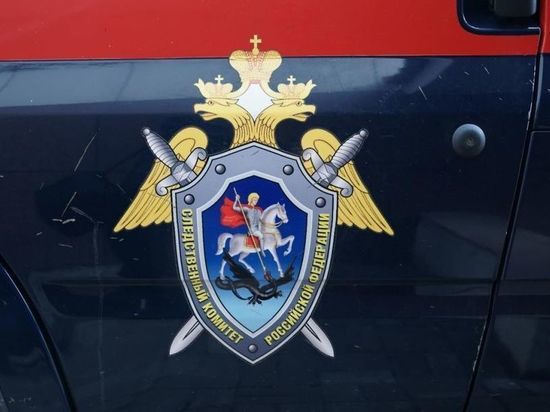 СУ СК проверит сообщения о новороссийской воспитательнице, якобы разбившей губу ребёнку