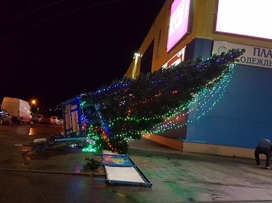 В Пскове упала новогодняя елка