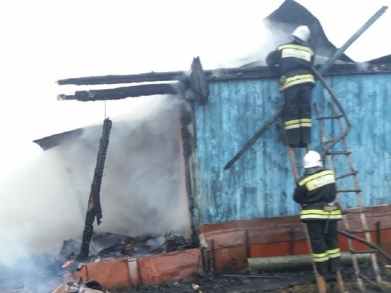 В Тамбовской области на пожаре погибли два пенсионера