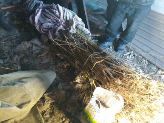  Полиция нашла несколько килограммов наркотиков на окраине Читы