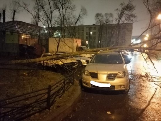 Предновогодний шторм обрушился на Петербург в ночь на 19 декабря