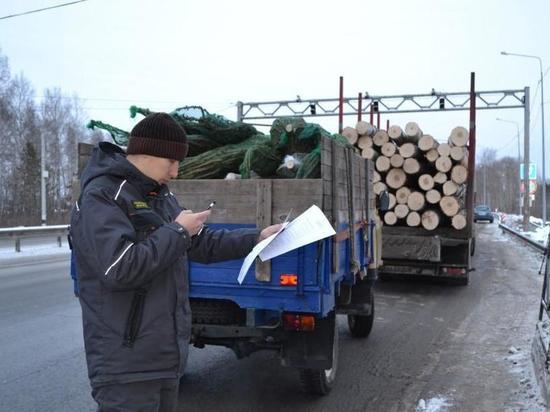 В Тюмени проходят рейды по пресечению незаконного оборота древесины