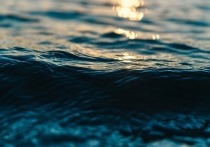 Промежуточные итоги реализации федерального проекта «Сохранение уникальных водных объектов» подвели эксперты в технопарке «Сколково» во время форума «Чистая страна»