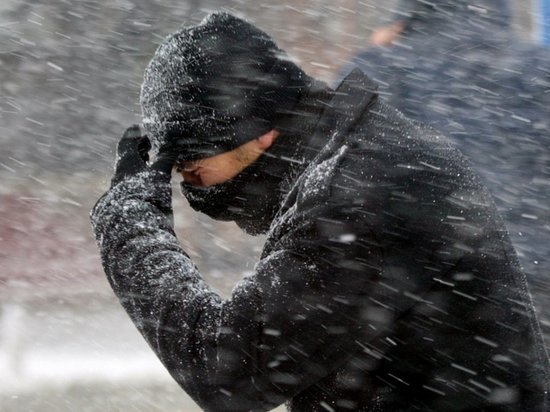 Ветер в Ярославской области не утихнет и принесет густой снег