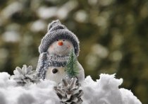 В ночь на 21 декабря в некоторых забайкальских районах пройдет небольшой снег, днем по краю в основном осадков не ожидается и температура поднимется до 14-19 градусов мороза