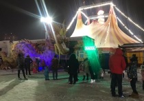 В день открытия цирка у "Планеты" должны были пройти пикеты зоозащитников