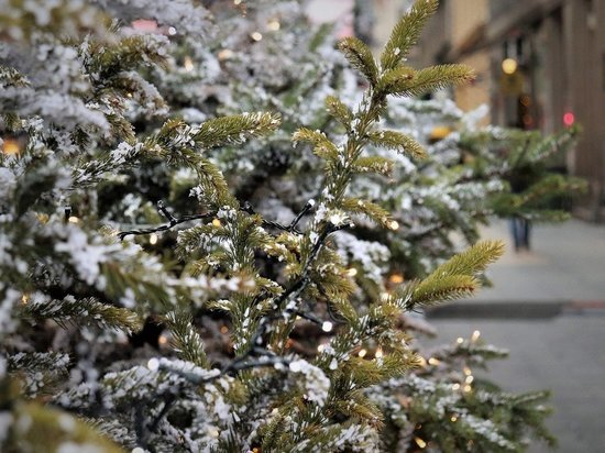 В Кирове начали работать ёлочные базары