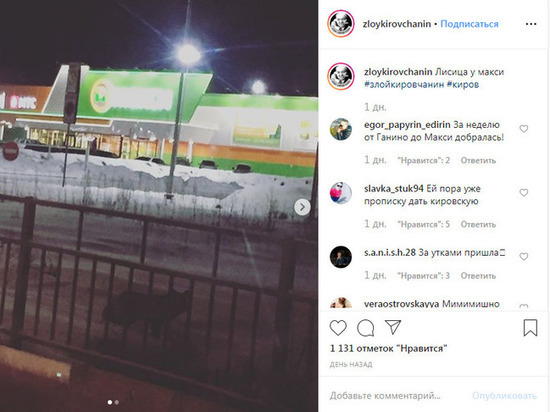 Около кировского ТЦ заметили лису