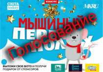 В конкурсе «Мышиный переполох» от «МК в Чите» 23 декабря стартовало голосование