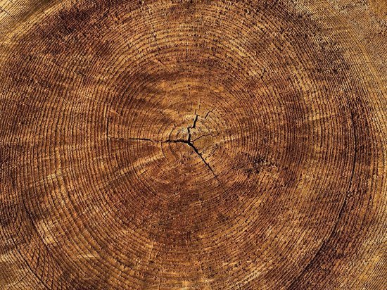 Склад "сомнительной" древесины нашли в Ясногорском районе