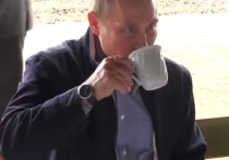 Президент РФ Владимир Путин сообщил, что отказался от чая и кофе в пользу алтайских трав