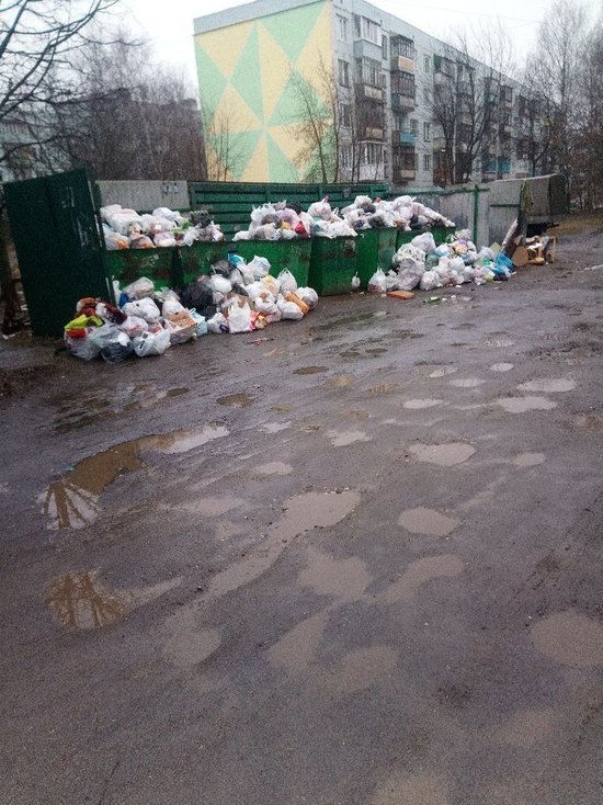 Костромичи жалуются, что мусорный оператор не справляется со своими обязанностями