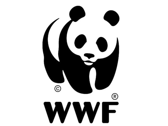 ММК вошел в первую десятку рейтинга WWF