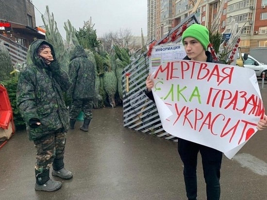 В Москве у елочных базаров прошли пикеты против вырубки деревьев