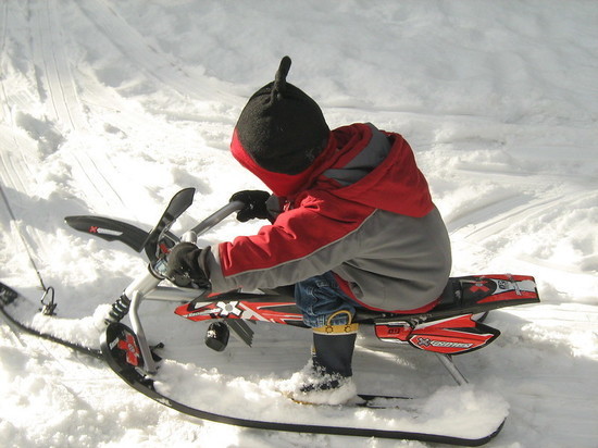 В Надыме неизвестные украли снегокат и лыжи у детей