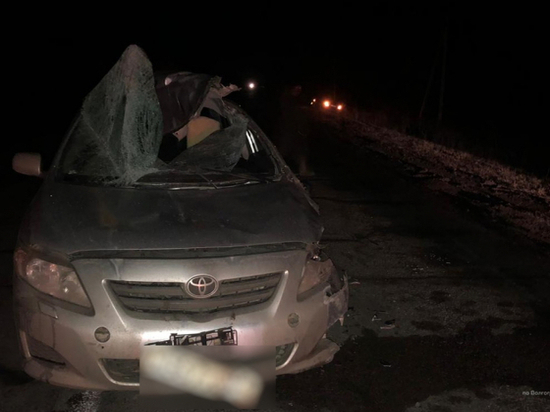 Водитель «Лады» погиб в ДТП с фурой в Волгоградской области