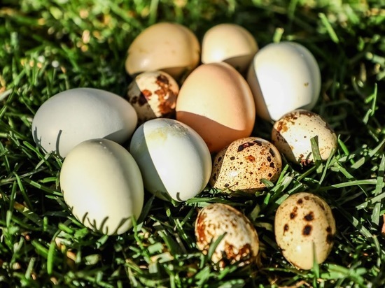 Мыть или не мыть: в чем опасность немытых куриных яиц