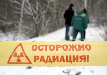 Президент Белоруссии Александр Лукашенко потребовал от России, как правопреемницы Советского Союза, помочь республике справиться с последствиями аварии на Чернобыльской АЭС и прекратить торговаться по ценам на газ
