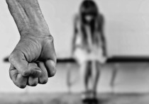 Авторы многострадального законопроекта о профилактике семейно-бытового насилия вновь собрались, чтобы отстаивать свою позицию