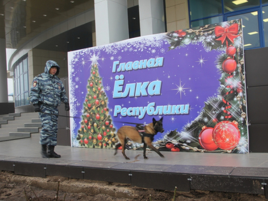 Полиция Калмыкии инспектирует места проведения новогодних утренников