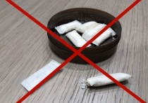 Никотиносодержащие жевательные и нюхательные смеси (снюсы) запретили продавать несовершеннолетним в Забайкалье