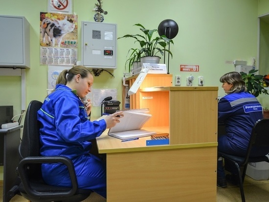 «Росводоканал Омск» в новогодние праздники будет работать для горожан