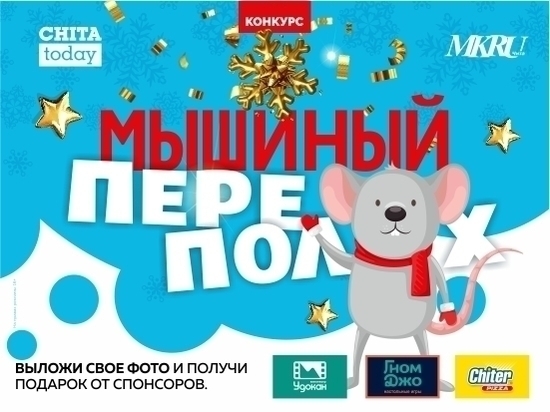 «МК в Чите» определил победителей в конкурсе «Мышиный переполох»