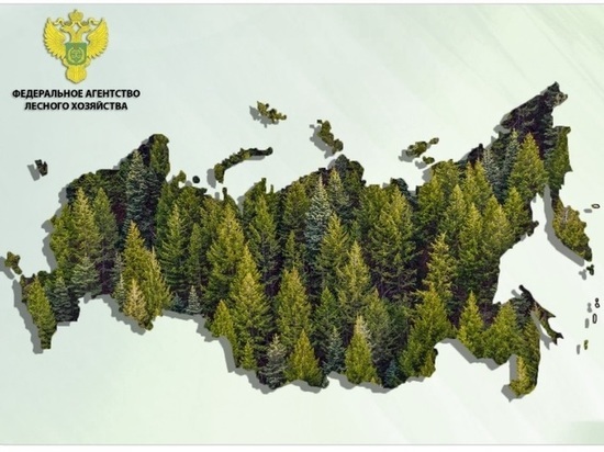 Рейтинг результативности регионов составлялся Федеральным агентством лесного хозяйства