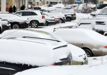 Небольшой снег прогнозируют синоптики в ночь на 1 января в Москве